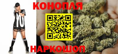шишки Кандалакша