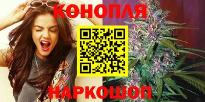 шишки Кандалакша