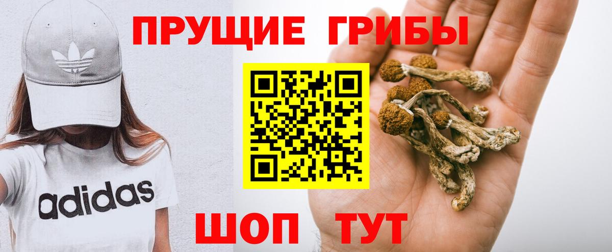 Галлюциногенные грибы GOLDEN TEACHER Кумертау